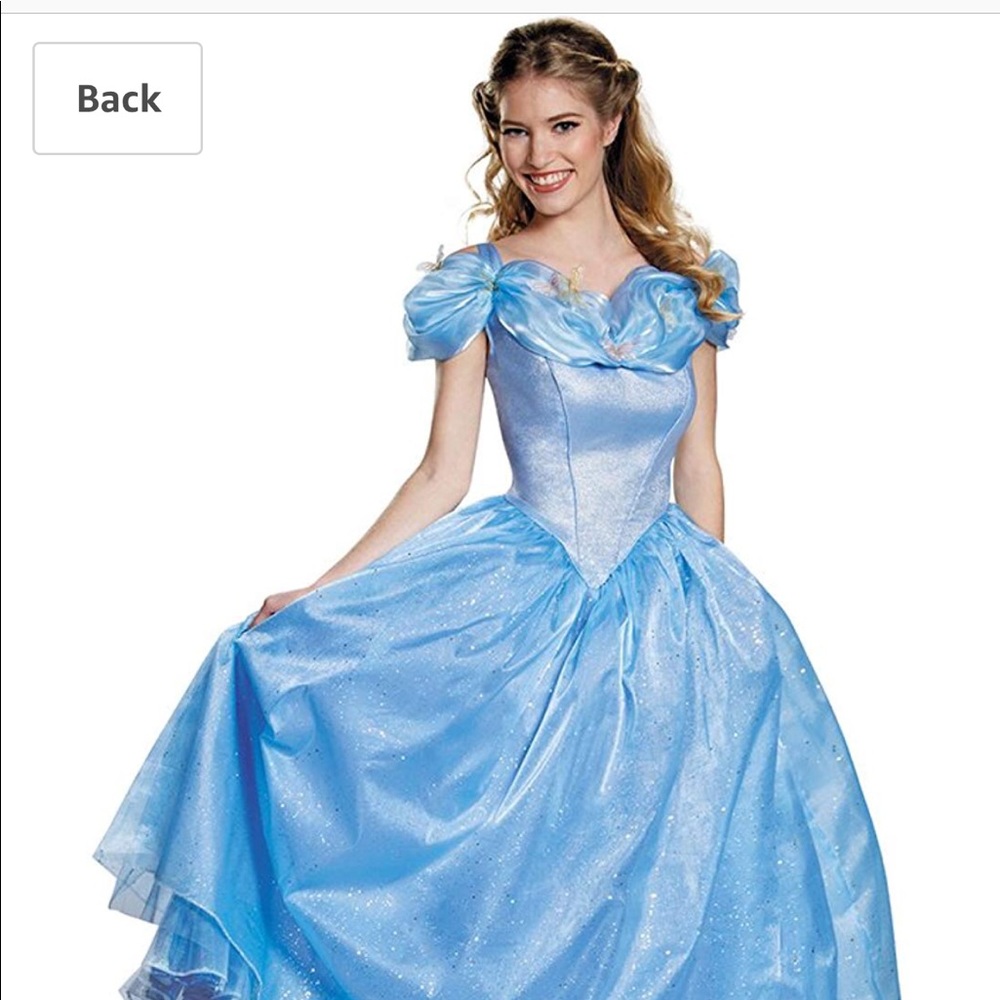 Cinderella women Halloween costume
